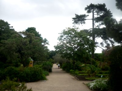 Jardins des Plantes - Paris - P1270598