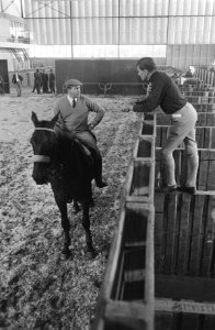 Jumping Amsterdam Anton Ebben op zijn paard Kairouan, maakt praatje met Ierse ru, Bestanddeelnr 921-8148