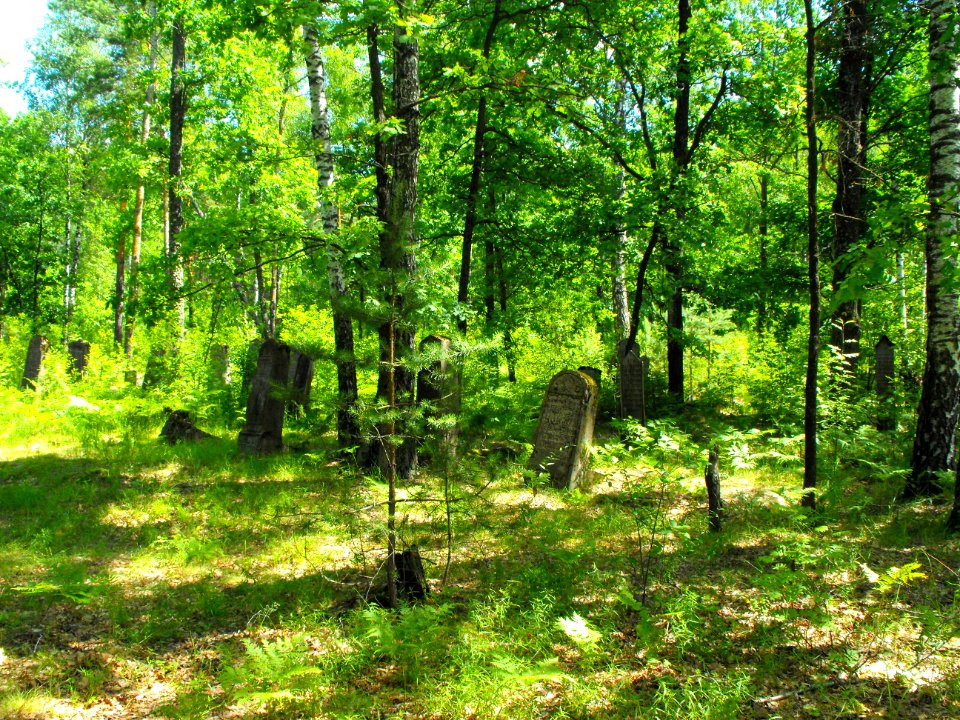 Jewish cemeteries in Lenin (Zhytkavichy district) 1d