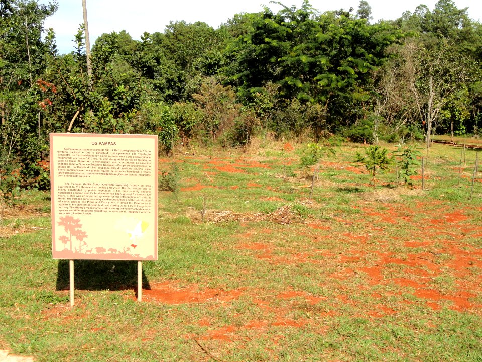 Jardim de Contemplação - Jardim Botânico de Brasília - DSC09623