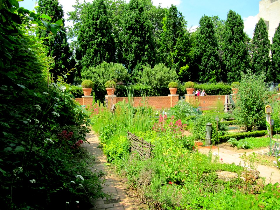 Jardin Bercy