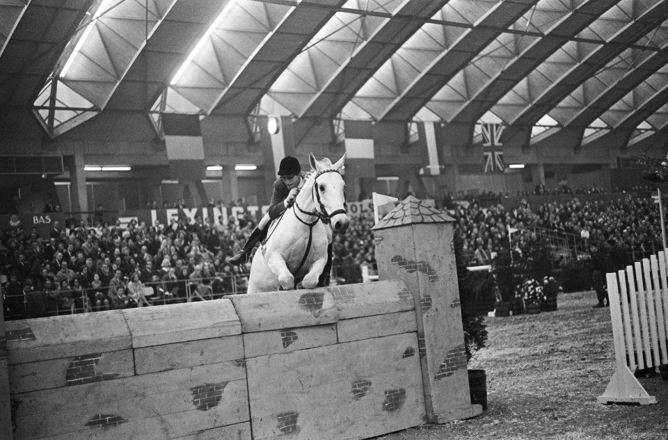 Jumping Amsterdam in de RAI, ruiters in actie, Bestanddeelnr 917-1806
