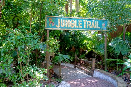 Jungle trail - Sarasota Jungle Gardens - Sarasota, Florida - DSC01948