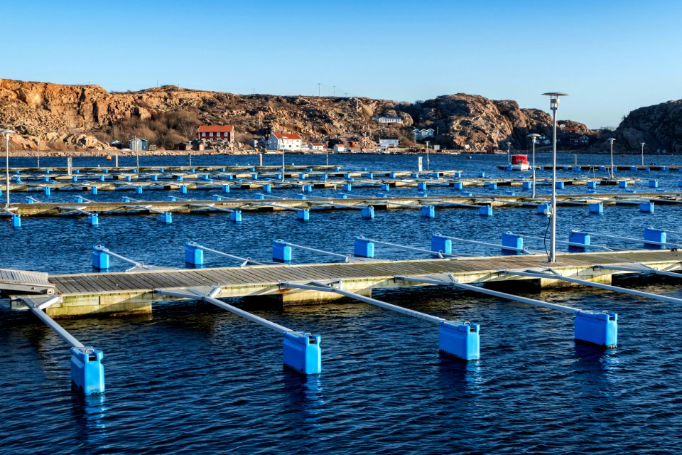 Jetties in Lysekils Marina, Ramsvik 2