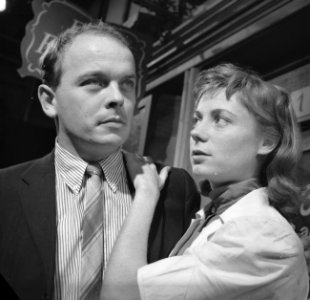KamermanElzevier1961
