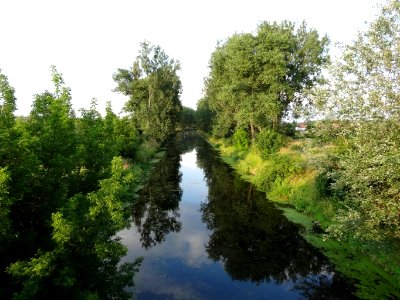 Kanal Notecki Lochowo a3 07-2014 photo