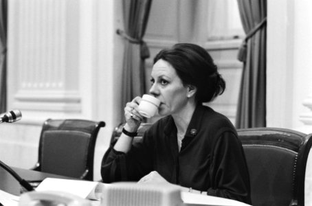 Kamerlid Piet van Zeil aan het woord, Neelie Smit-Kroes hoort toe, Bestanddeelnr 930-1305