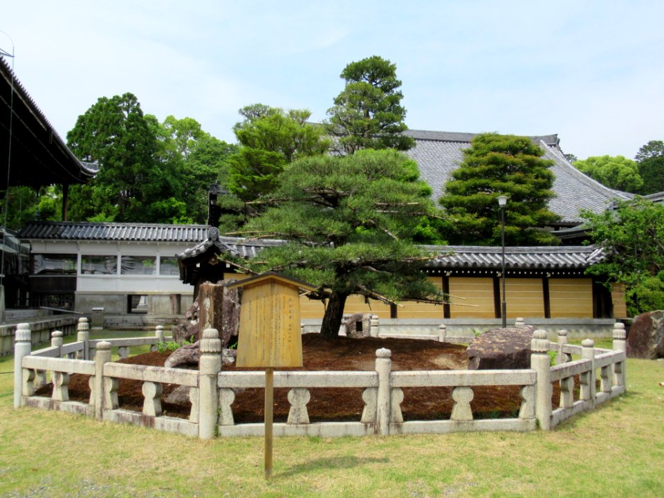 Konkai-Komyoji 005