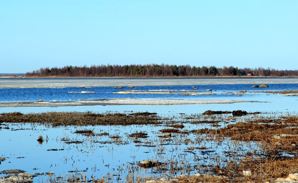 Kolmenkoivunkari Oulu 20140421
