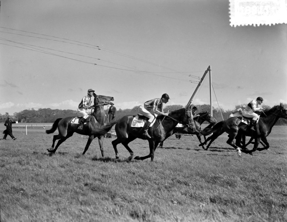 Kolonel Peter Tousend op Duindigt, Bestanddeelnr 907-1281