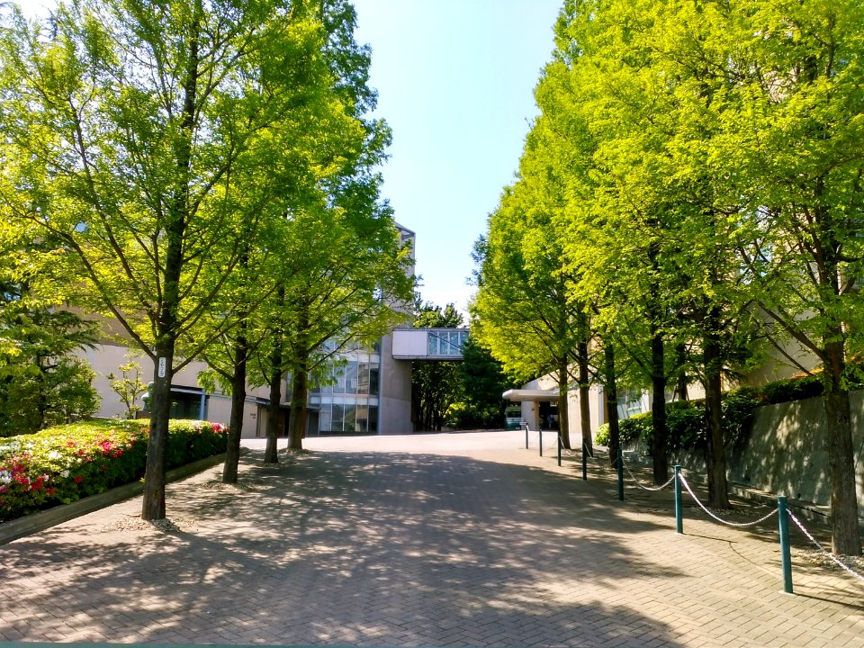 Kobe-Tokiwa-Univ-2017050401