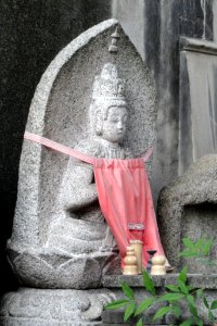 Kodo (Gyogan-ji) - Kyoto - DSC05861