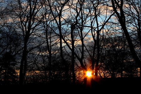 Autumn landscape forest photo