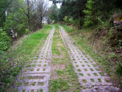 Kolonnenweg-Rimbach-02
