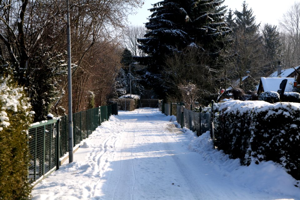 Kochemer Weg Berlin-Hakenfelde with snow 2020-02-10 02