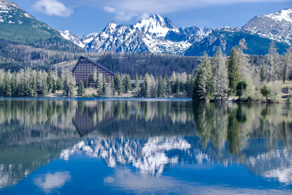Lake nature panorama