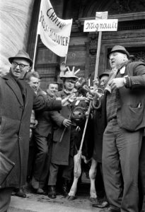 Koe te midden van de demonstrerende boeren, Bestanddeelnr 924-3870