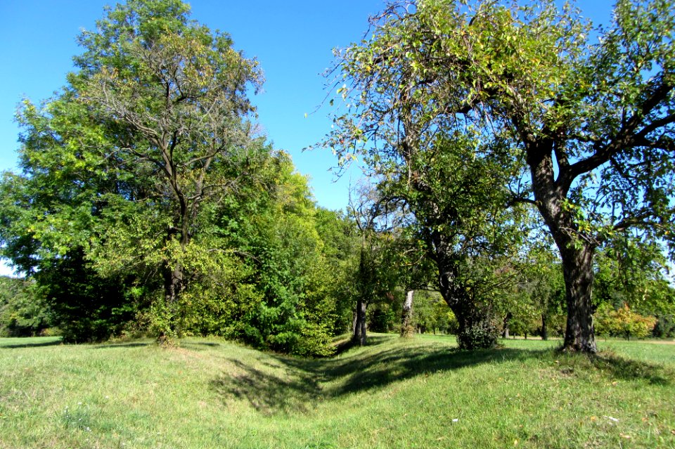 Landturm Lichtel Landhege