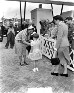 Koningin Juliana ontvangt bloemen, Bestanddeelnr 905-8959