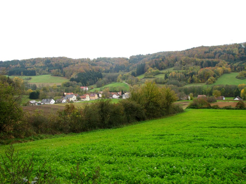 Langenthal (Berg bei Neumarkt-Opf.) (6)