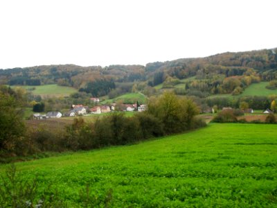 Langenthal (Berg bei Neumarkt-Opf.) (6)