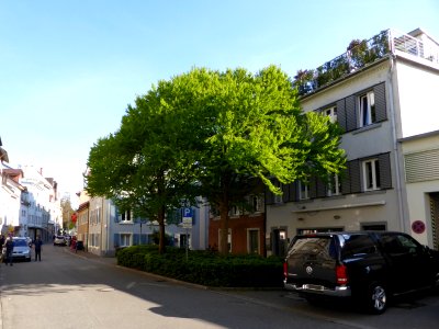 Konstanz-Strassenbild-1