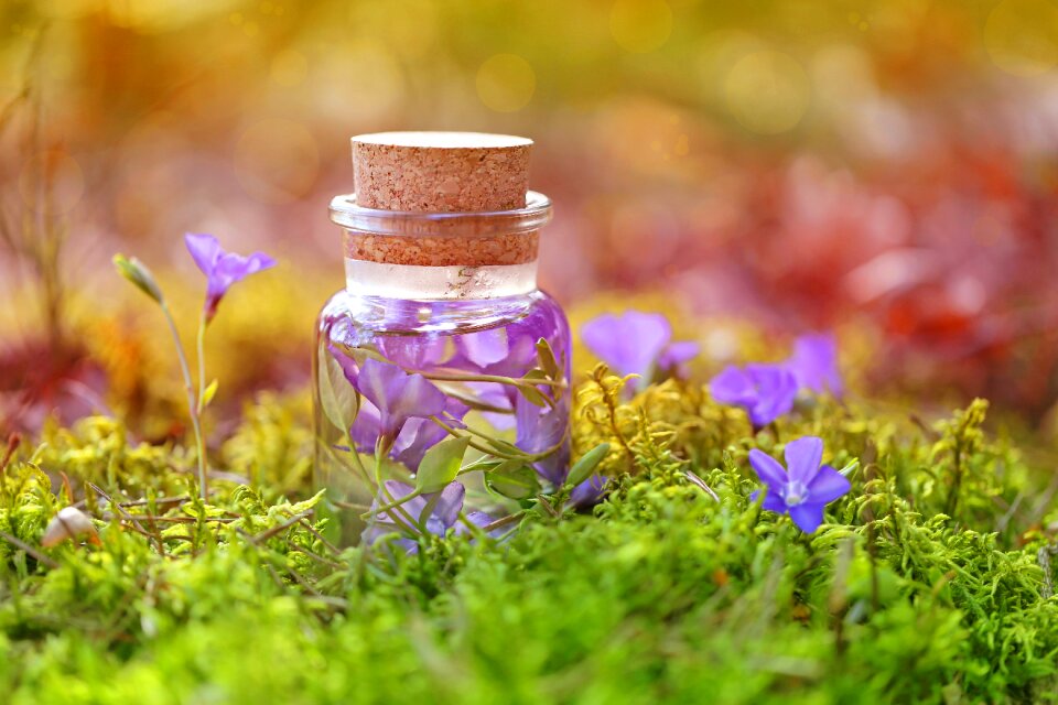 Herbal infusions bottle