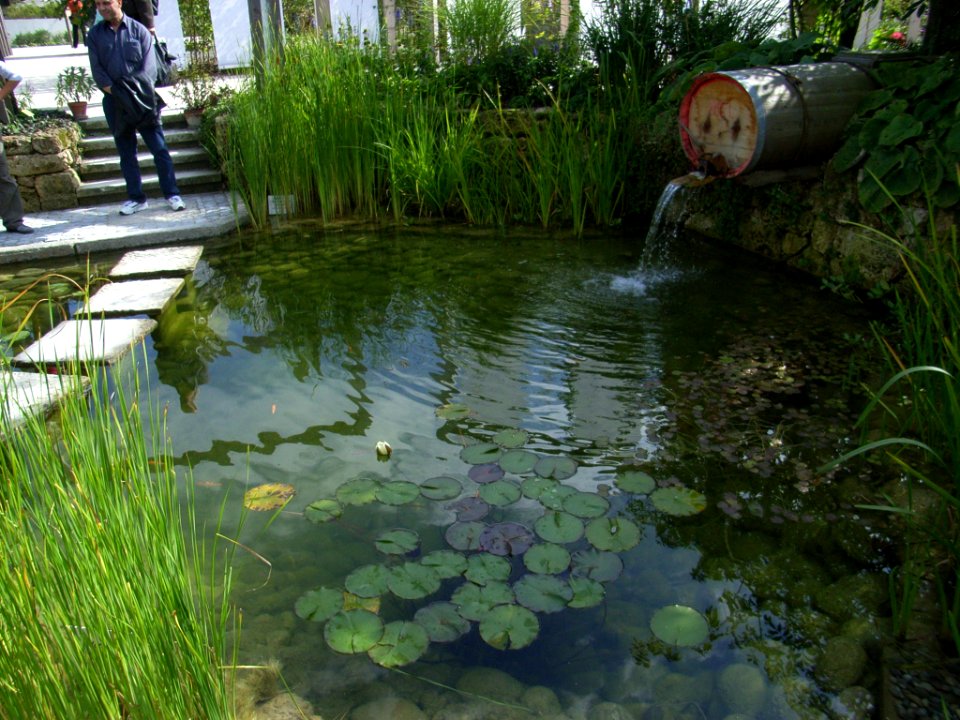Landesgartenschau Rosenheim Teich