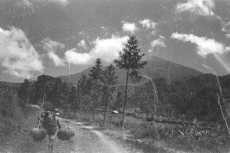 Landschap zicht op Gunung Ceremai, Bestanddeelnr 330-4-3