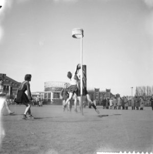 Korfbal Westerkwartier tegen Allen Weerbaar 6-2, Bestanddeelnr 909-4799