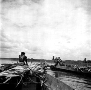 Korjalen op de Marowijnerivier bij Langetabbetje in Suriname, Bestanddeelnr 252-6674