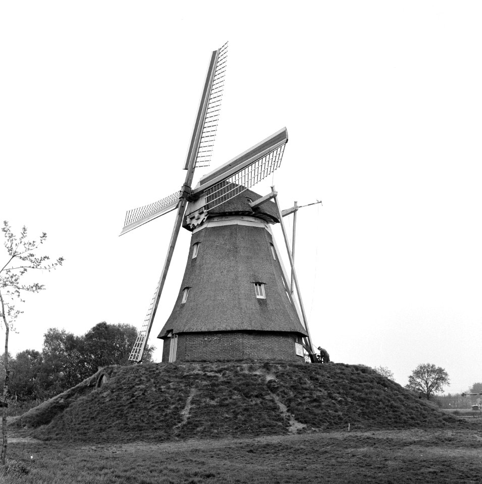 Korenmolen Jantina Hellingmolen te Aalden (Drenthe) 8-kante beltmolen, rietgede, Bestanddeelnr 165-0138