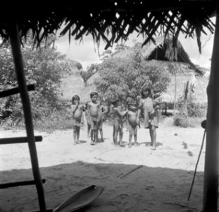 Kinderen in het indianendorp Pierrekondre in Suriname, Bestanddeelnr 252-6478