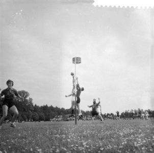 Korfbal Nederland tegen Belgie 5-6 in Assen, Nederlandse aanval, Bestanddeelnr 910-4259