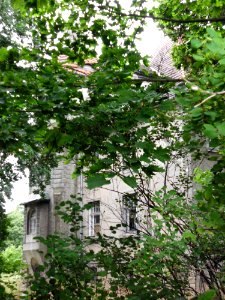 Krampfer Schloss 3