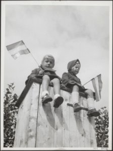 Kinderen in afwachting van de komst der koningin, Bestanddeelnr 014-1073