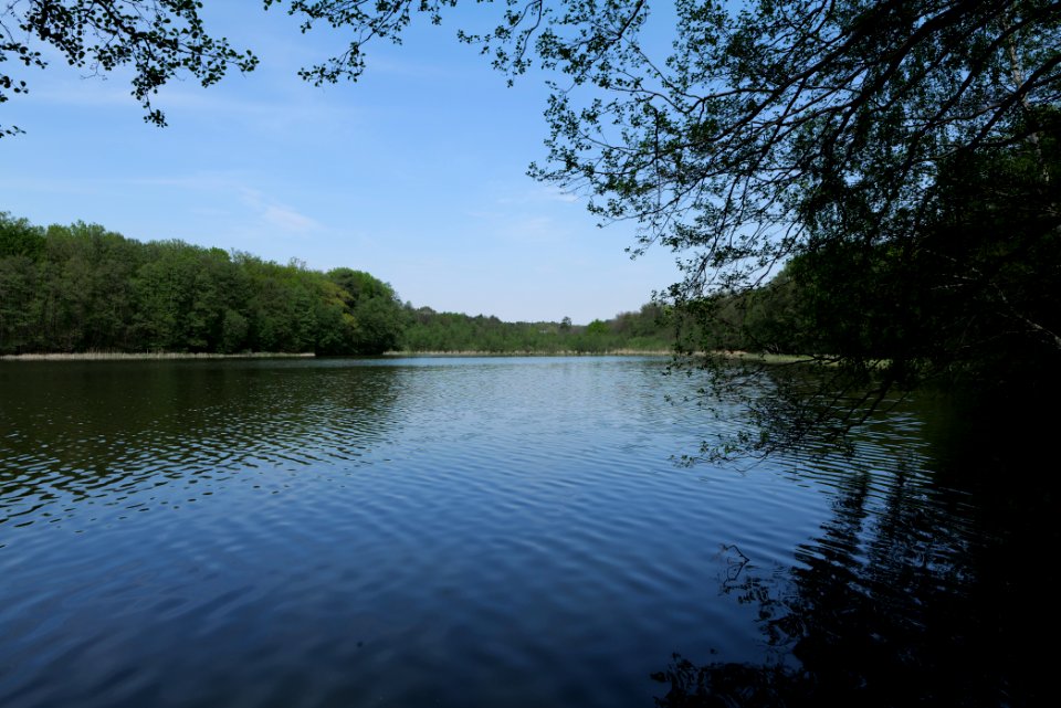 Krumme Lanke Rangsdorfer See 2021-05-11 02