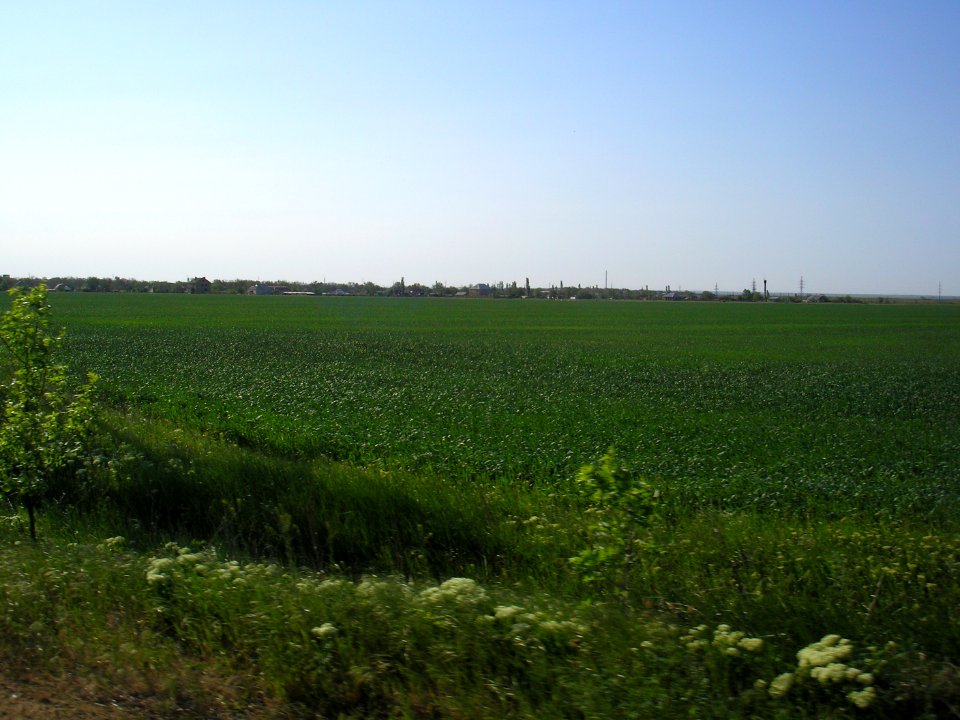 Krymskoe 3