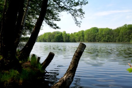 Krumme Lanke Rangsdorfer See 2021-05-11 08