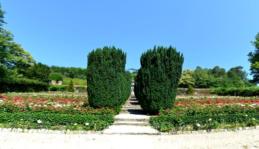 Kronberg, Rosarium im Park von Schloss Friedrichshof (8)