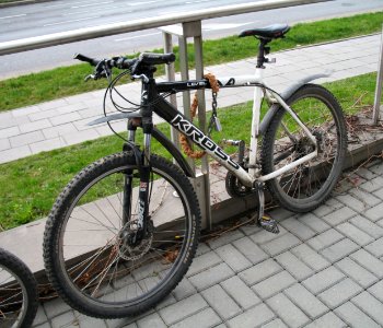 Kross Level A4