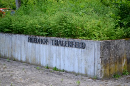 Kronberg, Friedhof Thalerfeld, Eingang (1)