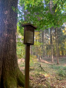 Kronberg, Esche an der Antoniuskapelle, Schild