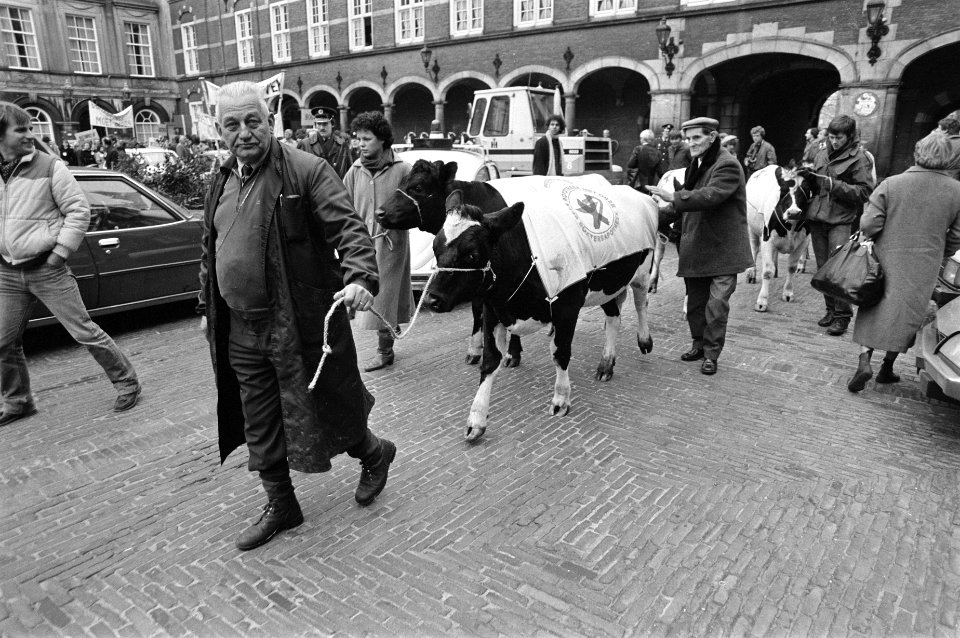 Koeien op het Binnenhof, patientenbelangengroep Ned petitie aan commissie volks, Bestanddeelnr 931-1955