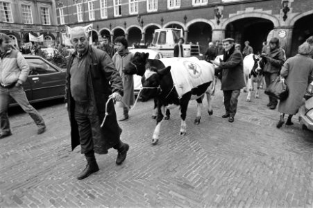 Koeien op het Binnenhof, patientenbelangengroep Ned petitie aan commissie volks, Bestanddeelnr 931-1955