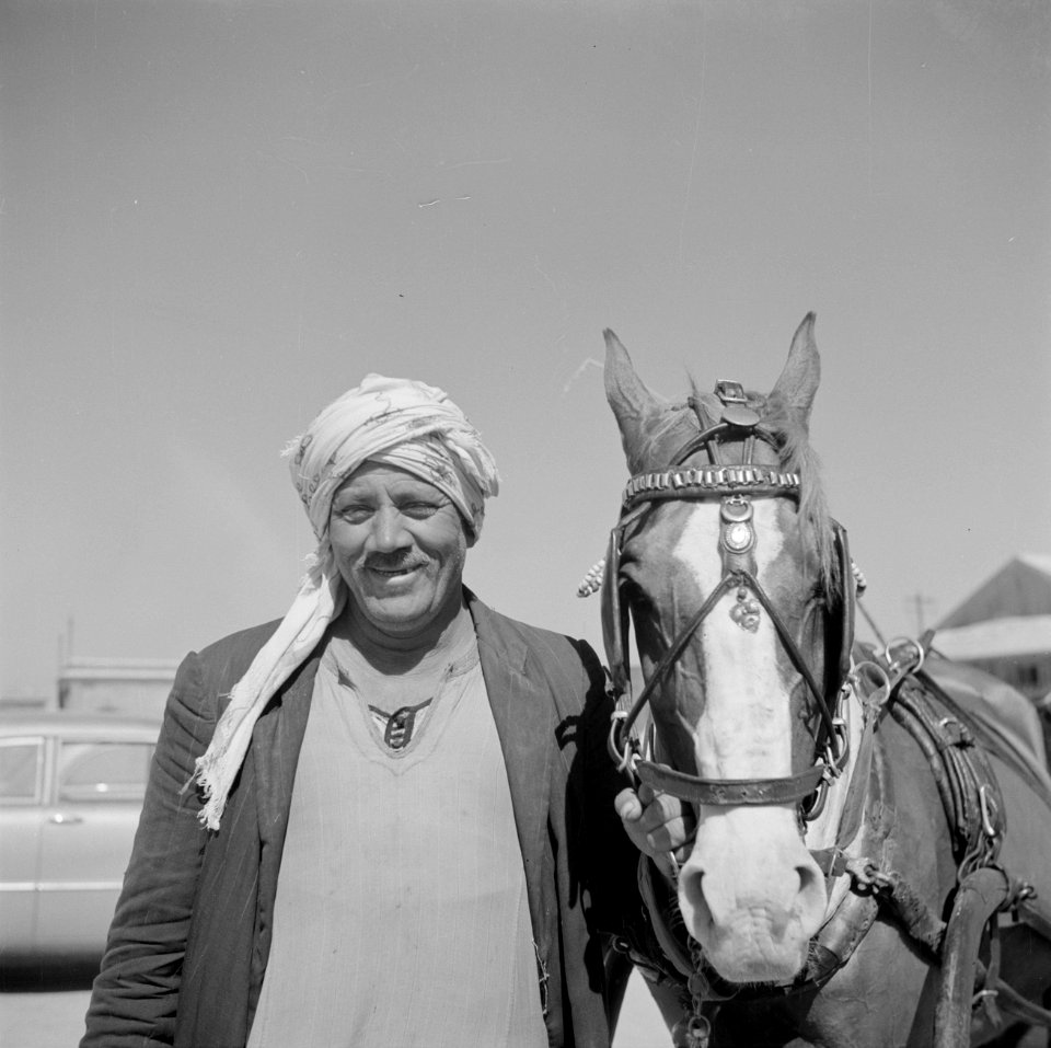 Koetsier met zijn paard in Alexandrië, Bestanddeelnr 255-6597