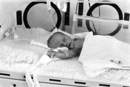 Koen in de couveuse, Bestanddeelnr 932-7337
