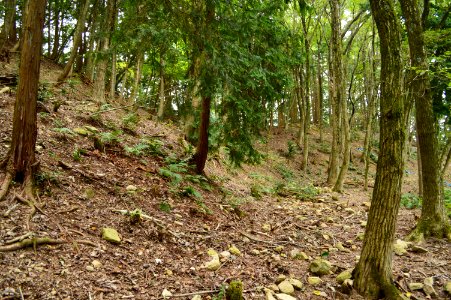 Kojin-yama Kofun, funkyu-1