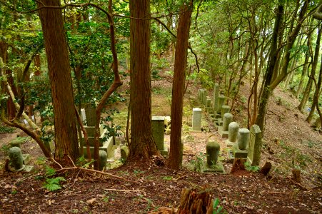 Kojin-yama Kofun, zenpoubu