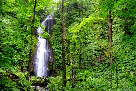 Kumoi Falls - Oirase Mountain Stream - Towada, Aomori - DSC01202